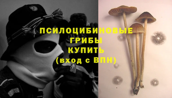 гидропоника Алзамай