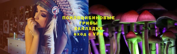 гидропоника Алзамай
