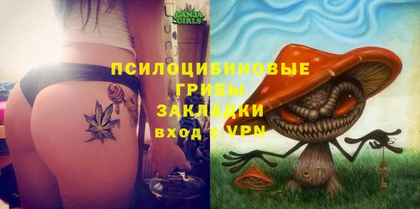 гидропоника Алзамай