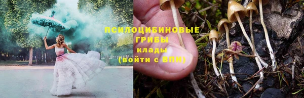 крисы Алексин