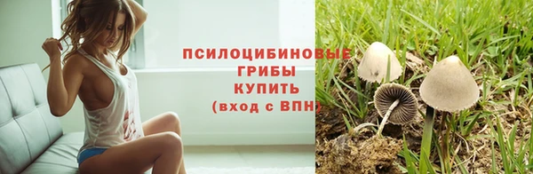 стаф Алексеевка