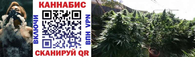 это какой сайт где купить наркоту Тихвин МАРИХУАНА OG Kush